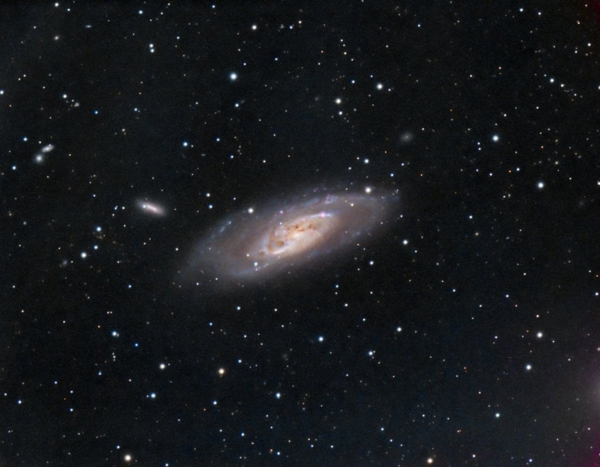 SteveDoody2's tweet photo. My photo of the galaxy M106 in the constellation of Canes Venatici produced from data taken over the past 3 years using luminance, red, green, blue broadband and hydrogen alpha narrowband filters through my William Optics 132mm FLT refractor. https://t.co/GpAJ6gqCNf