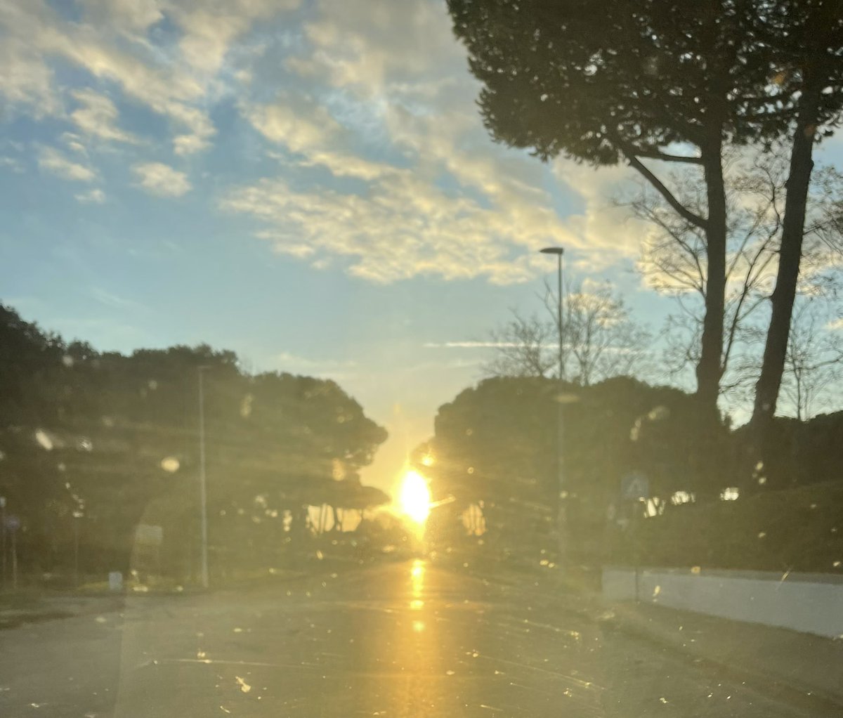 DiegoBertelli1's tweet photo. #lidodicamaiore #agfacolor https://t.co/qdSkjrCaqH