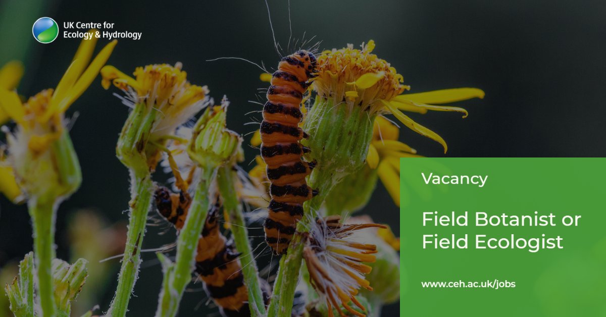 UK_CEH's tweet photo. We're looking to recruit up to 4 botanists or field ecologists to contribute to our annual national field surveys. Full-time roles between April and October, initially for the 2023 survey season. Most work based in Wales.

See more &amp; apply by 9 Jan 2023! https://t.co/Ws5srSjE3o https://t.co/wp8pDGJcfX