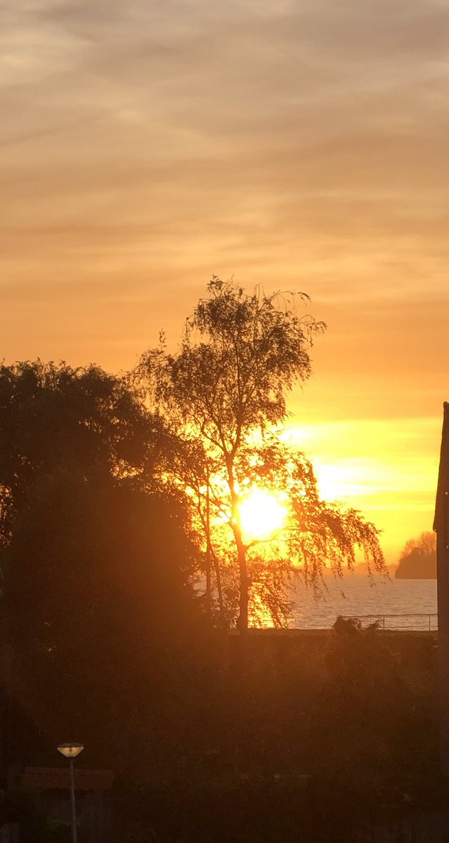 Zo af en toe verschijnen 50 tinten oranje #sunset #visitaalsmeer #westeinderplas #weerfoto <a href="/BuienRadarNL/">Buienradar</a>