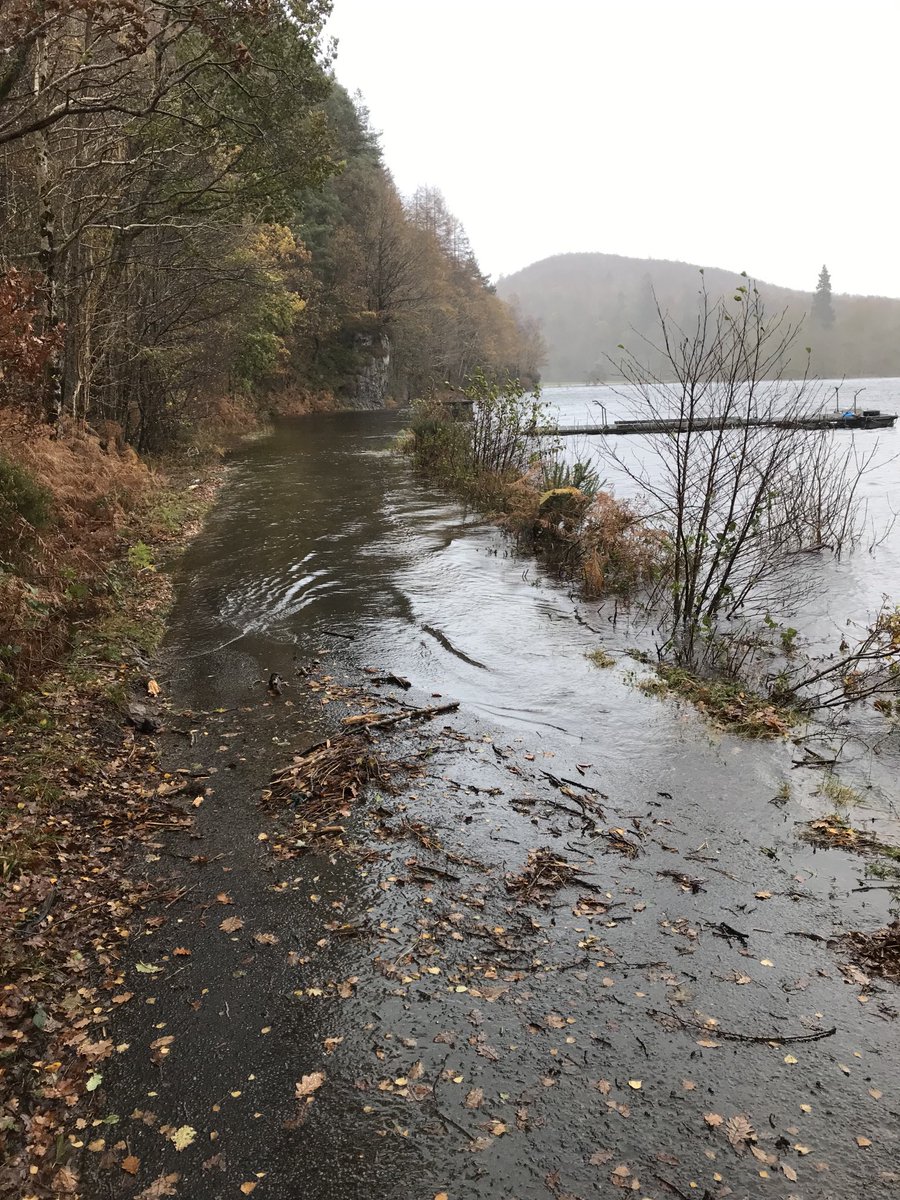 SteveScottBrac1's tweet photo. Think this might be it for a day or two at Loch Arkaig! ⁦@ArkaigForest⁩ ⁦@WT_JessicaM⁩ ⁦@MowiScotlandLtd⁩ ⁦@DAJCameron⁩ ⁦@theclancameron⁩ https://t.co/MX5o1ZL4Dl