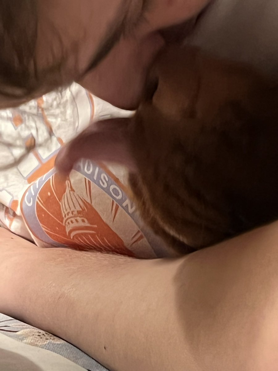 Cake!!  Dad’s birfday today!  Mum made Basque cheesecake.  I tried to taste.  But my boy put his nose in the way. #dogs #dogsoftwitter #vizsla