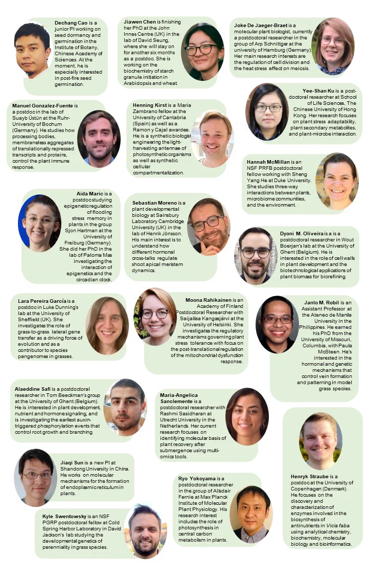A photomontage showing the images of the newly appointed Assistant Features Editors.