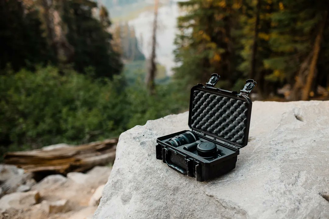 Evergreen tweet media