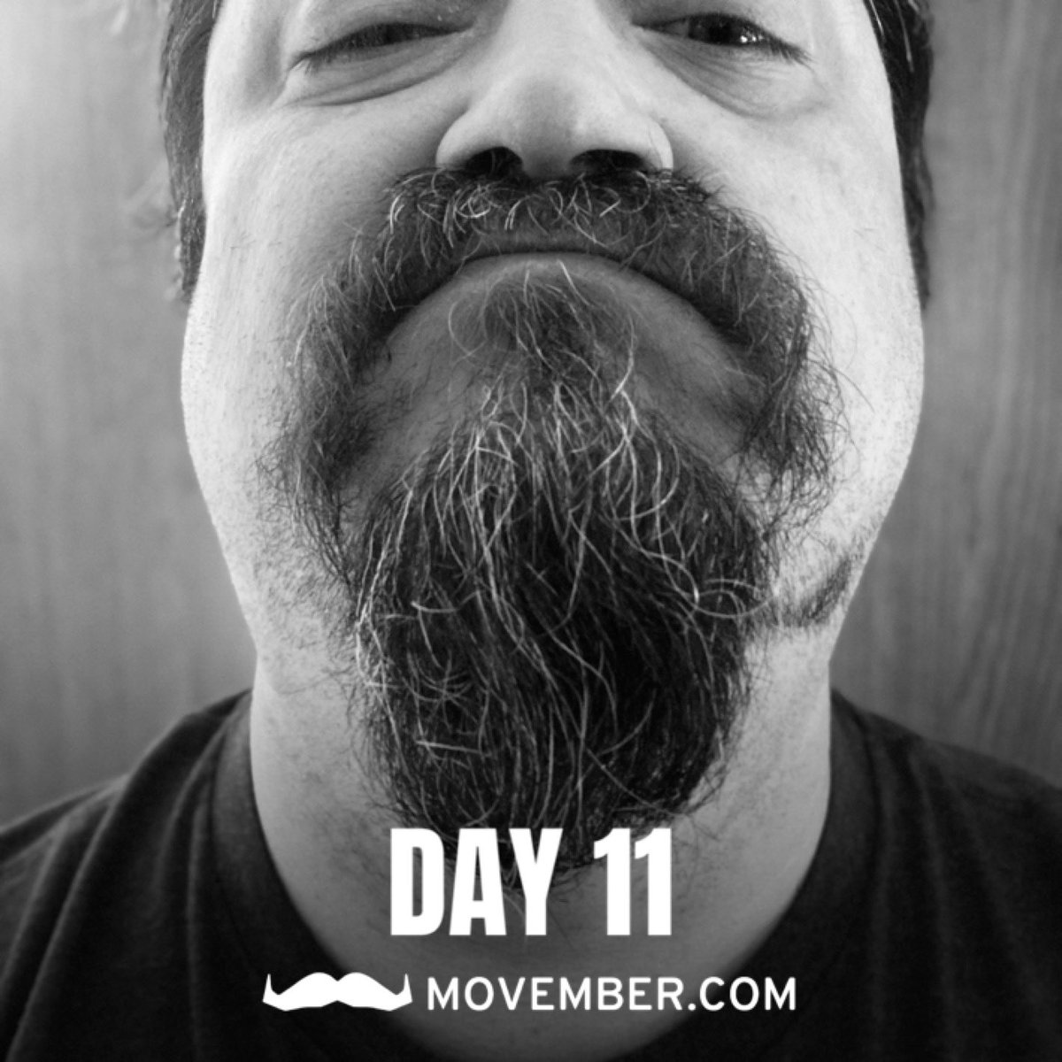ethernick's tweet photo. I was going for bullhorns.

Please donate #movember #movember2022 #ReverseMo  #mow2mo 

https://t.co/lkpNjwlLqr https://t.co/hCZq04SxlY