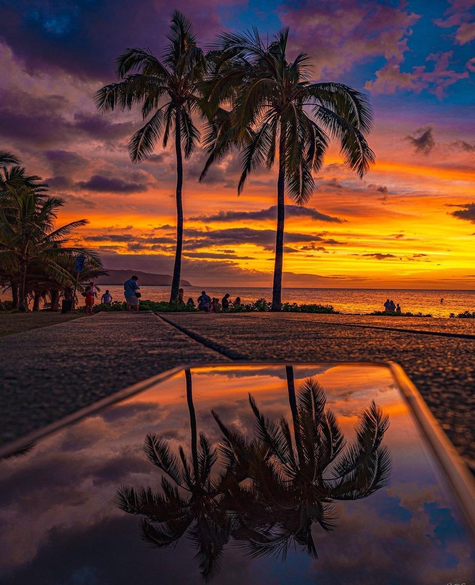 Good evening 🌴💫💙