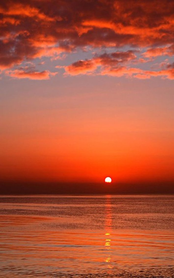 Good evening 💫🍾🥂💃💜