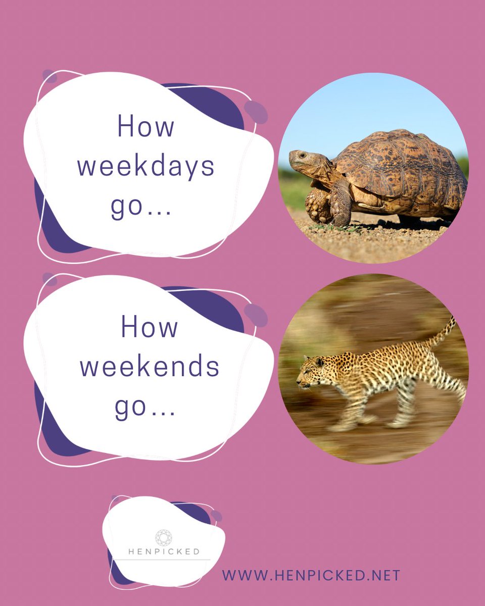 henpickednet's tweet photo. Are we right or are we right?! Those weekdays are tortoise speed and the weekends are leopard speed! 🐢🐆
#henpicked
#weekendmood
#happyweekendeveryone
#enjoyyourweekend https://t.co/LSEdVDDcA4