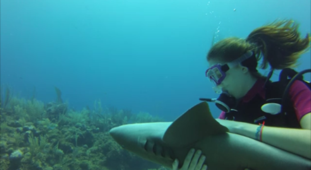 UoE_MarineMSc's tweet photo. Lauren is half French half American, loves Basking Sharks and has gone swimming with Whale Sharks, and is passionate about megafauna conservation. She can be found following up a day of SCUBA-diving and conservation with a cocktail on the beach. @PiotLauren https://t.co/I5XfJlHj5A