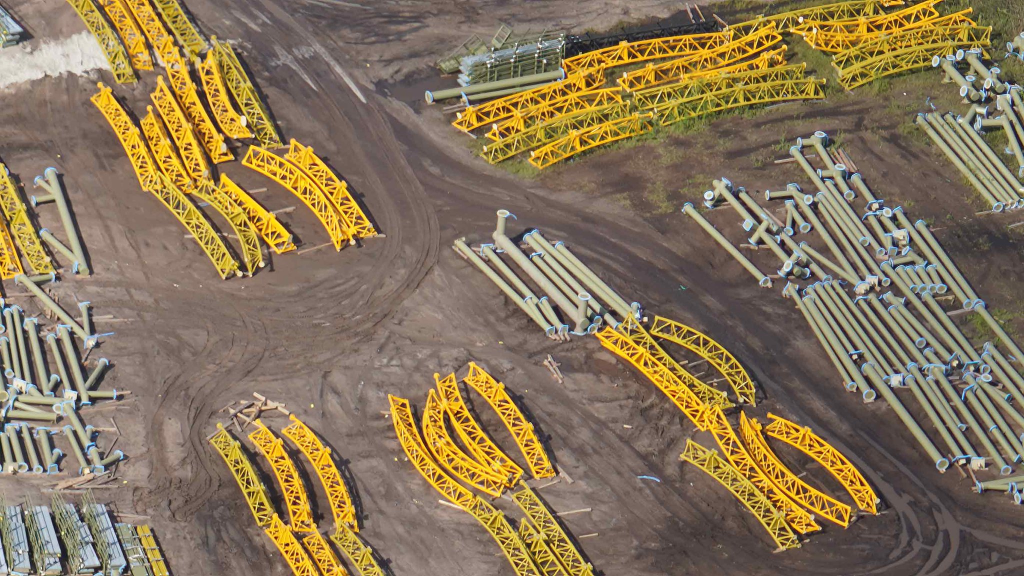 bioreconstruct on Twitter: 