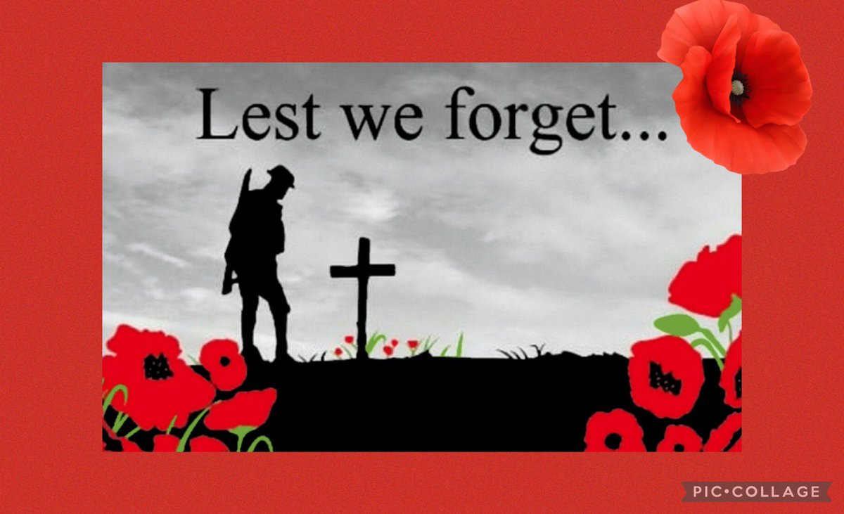 Courtney Gini tweet media