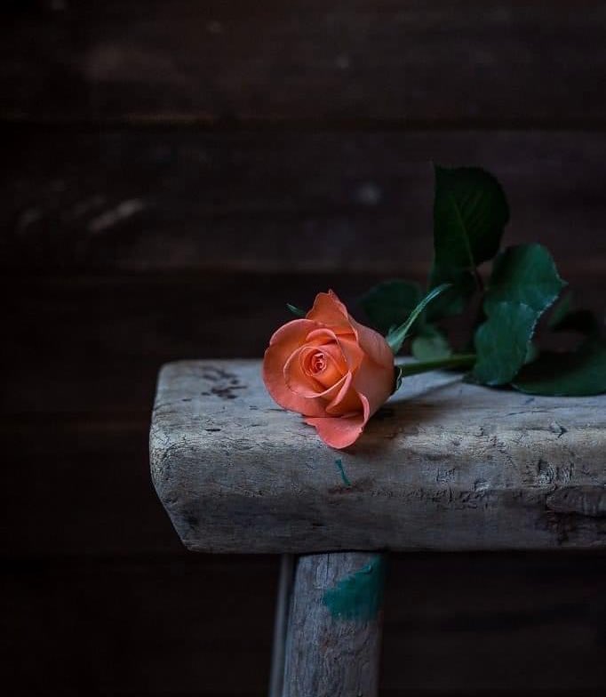 Awaited_Hope's tweet image. If you can&apos;t pave the path of Imam Mahdi’s (aj) re-appearance, at least do not create any barrier for it. 

#FridayVibes increase efforts to bring forth the Awaited Hope’s  (aj) Reappearance !

#Self_Reflections 🤲