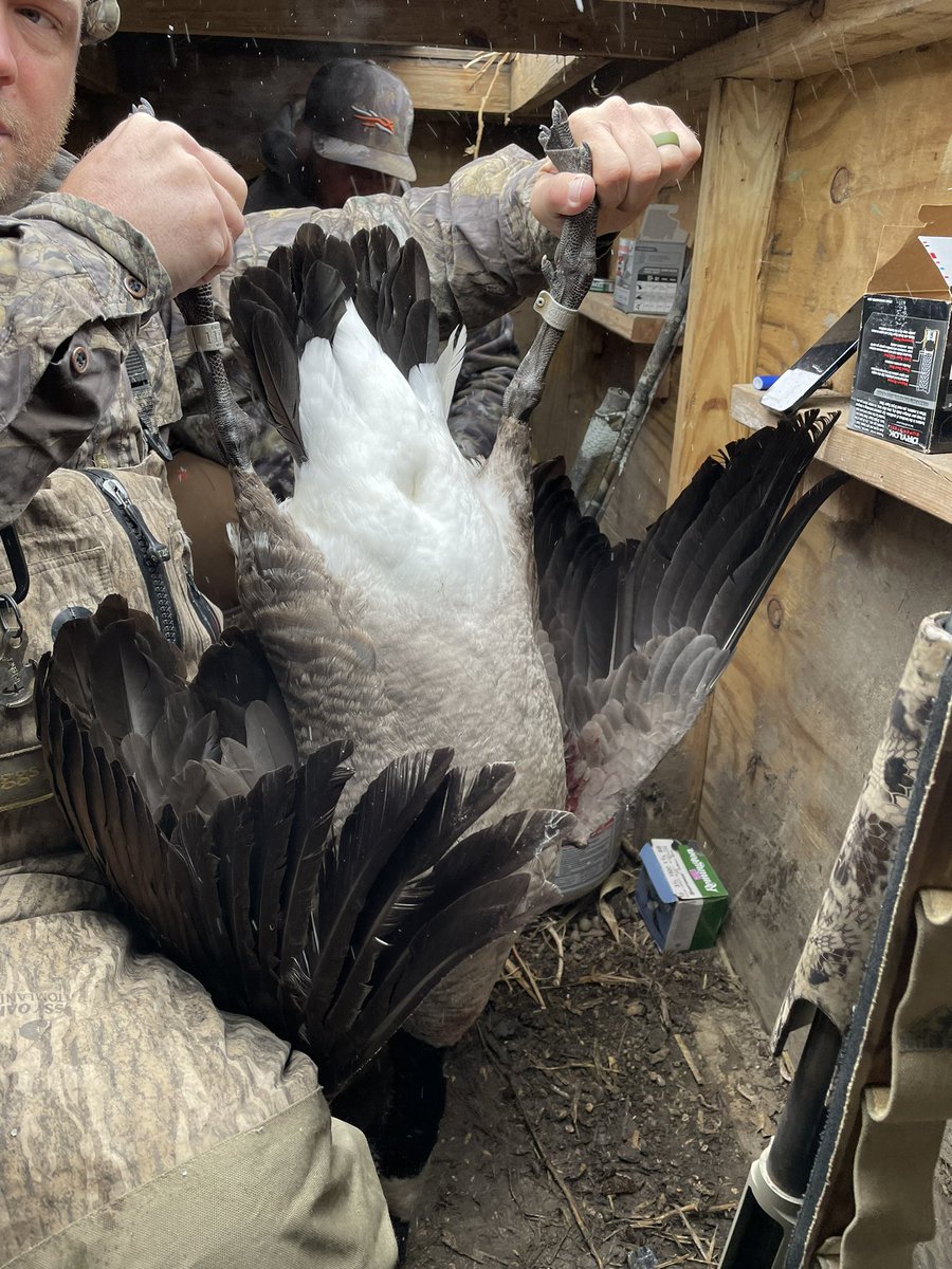 Devin Snell tweet media