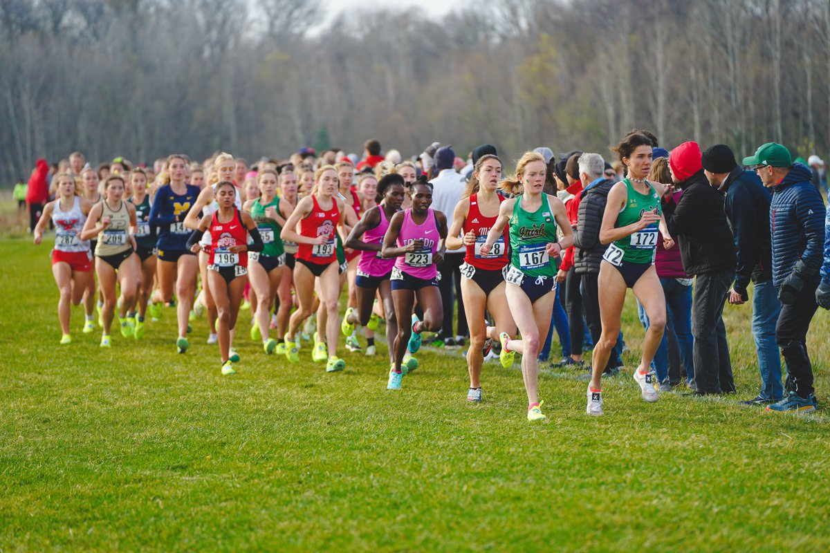 Toledo XC/Track tweet media