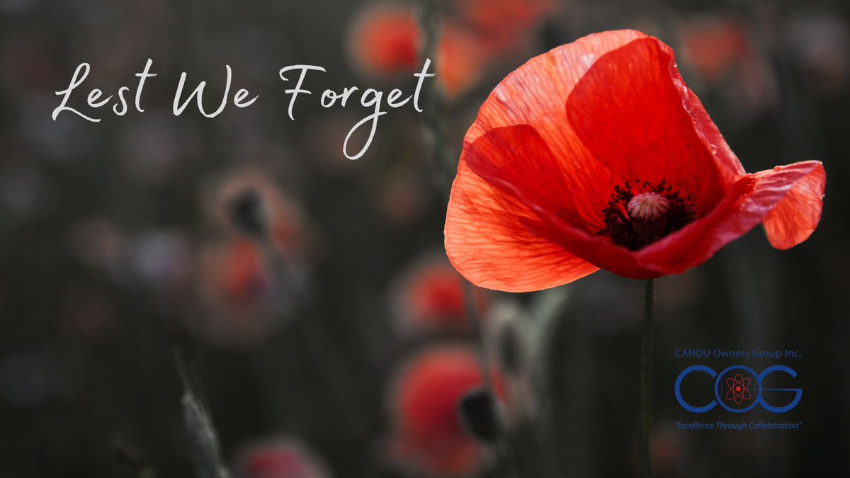 Today COG staff gathered to pay tribute to all of the brave men and women who have made the ultimate sacrifice to protect our country and democracy, and to honour those who have served and continue to serve today to defend our values and freedoms. #WeRemember