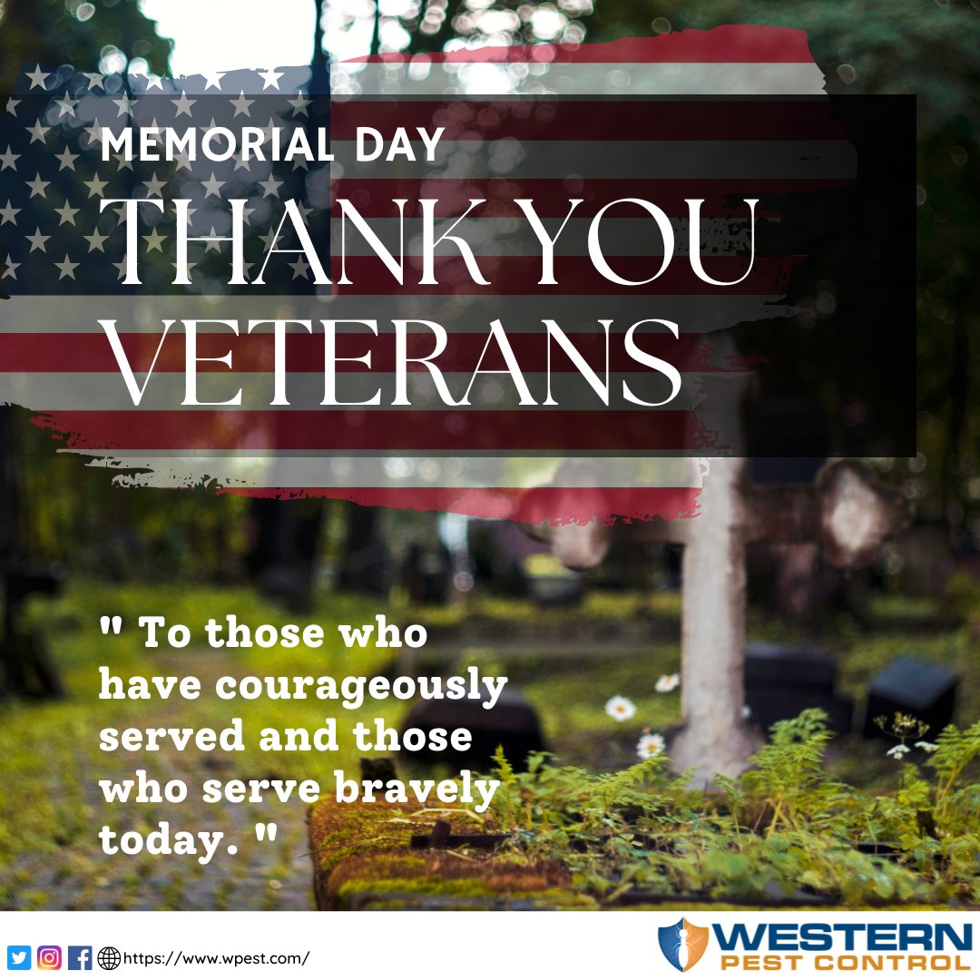 On this day, please take time to remember those who have fallen. Today and every day after, do more; put the freedoms they died for to greater and nobler uses. Be the Kind of American worth fighting for. 

#VeteransDay