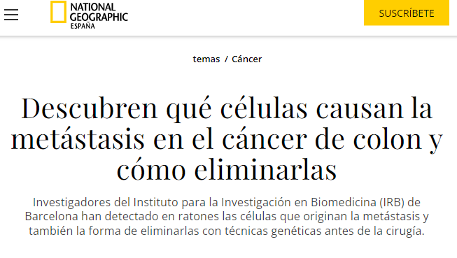 UnMechudoMass's tweet image. Tu país // Mi país