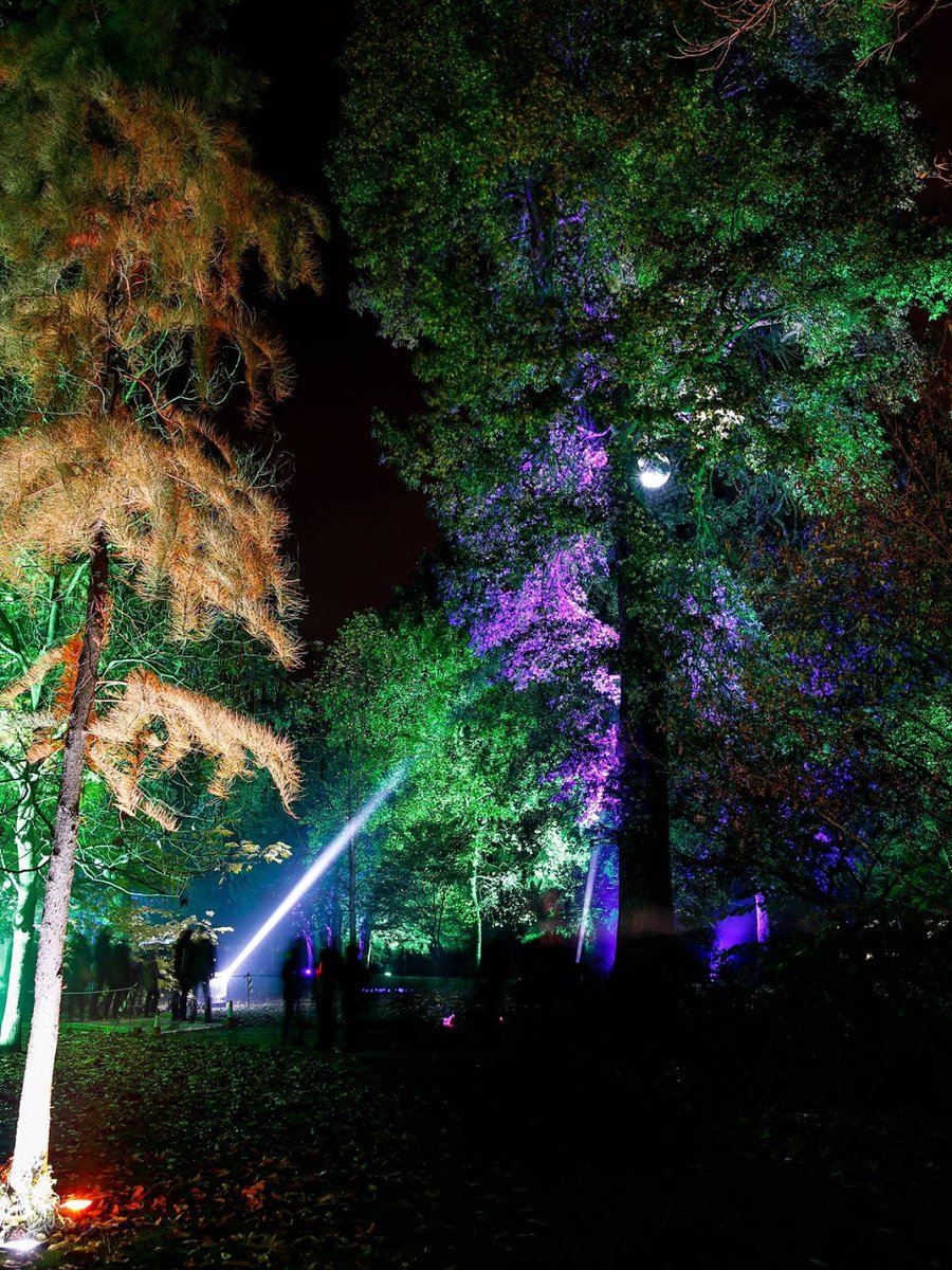 Our gates to the Enchanted Woodland are finally open!!

We can't wait to hear what you all think. 

Make sure you tag us in your posts!! 

#EnchantedWoodland #walkinthepark #illuminatedtrail #lightshow