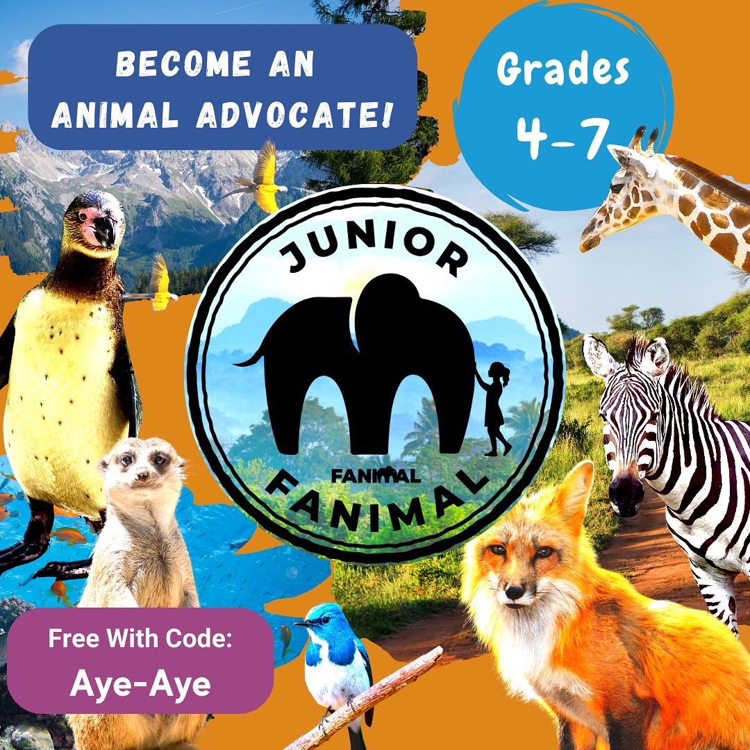 Fanimal_Inc's tweet photo. We are happy to share that our Junior Fanimal program is free to access on the @zoptiks website (https://t.co/96E6REsKMY)! Use the code "Aye-Aye" to get it for free! 😊 #juniorfanimal #beafanimal #kidsprograms #kidactivities #animallovers #animals #educational #learningfun https://t.co/gNe3Xe6fVU