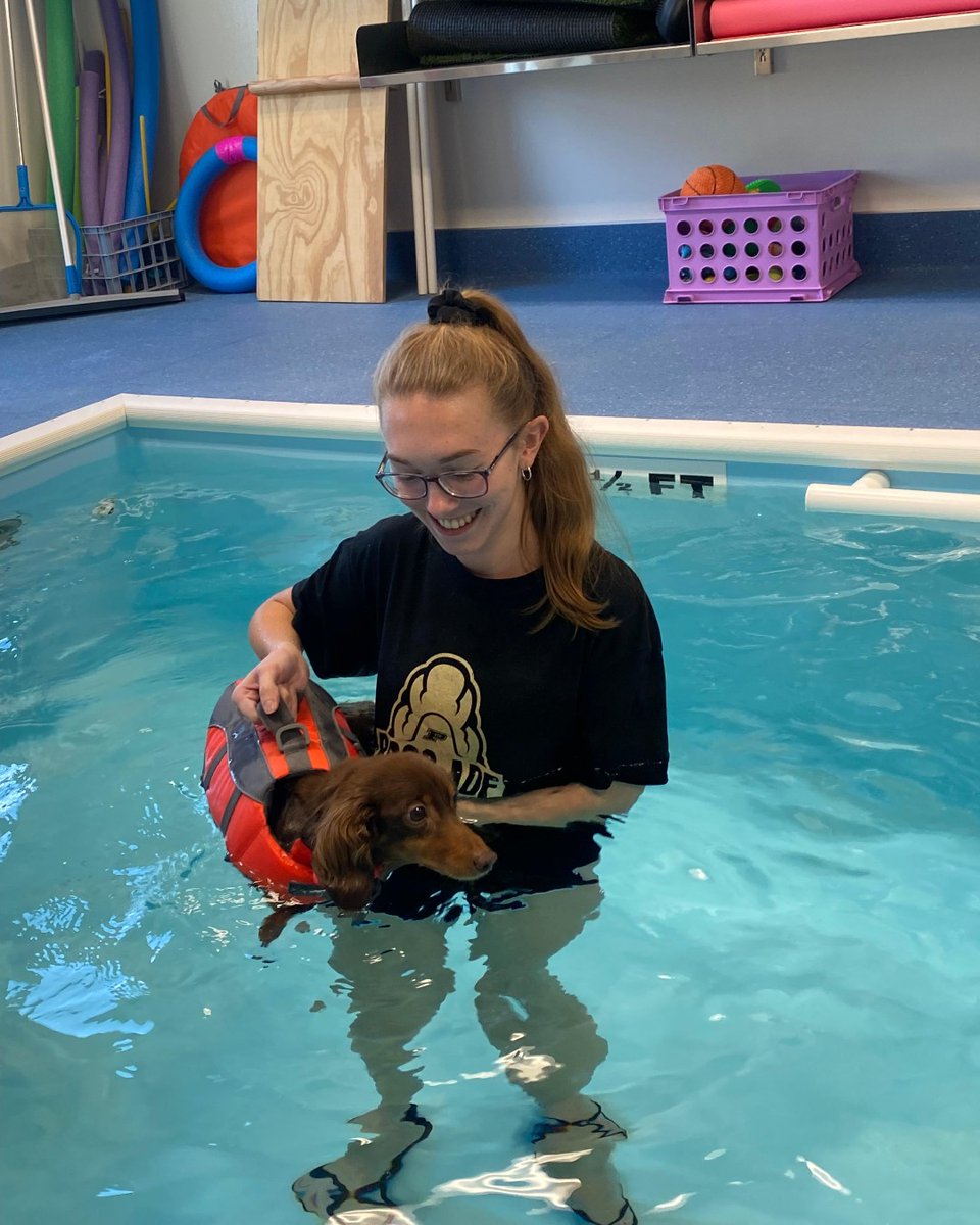 Tweet by Purdue Veterinary Medicine