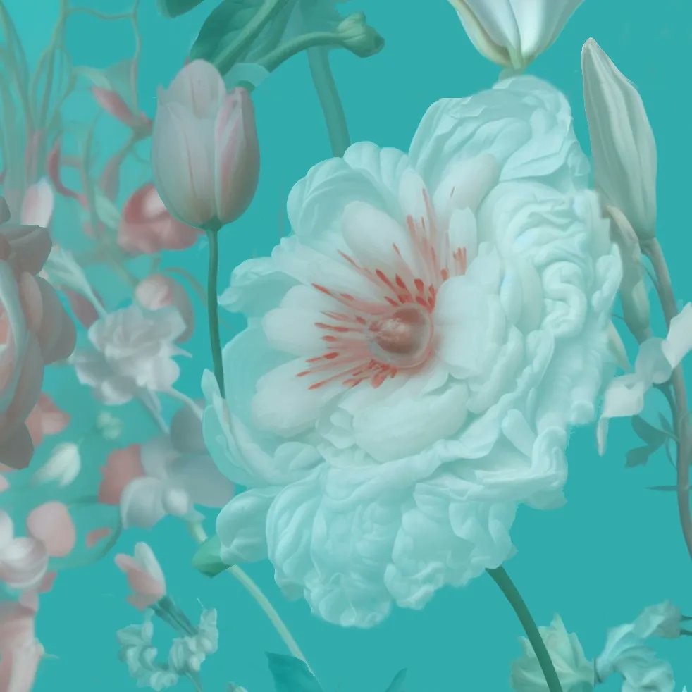 Lindsey Carr tweet media