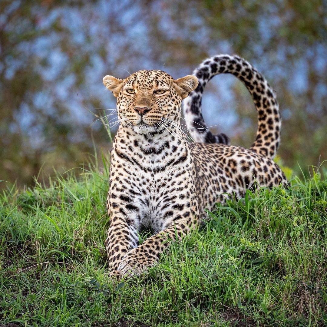 𝐌𝐨𝐨𝐝𝐚𝐚𝐥𝐞 𝐌𝐞𝐝𝐢𝐚 𝐆𝐫𝐨𝐮𝐩 (@moodaale) on Twitter photo 