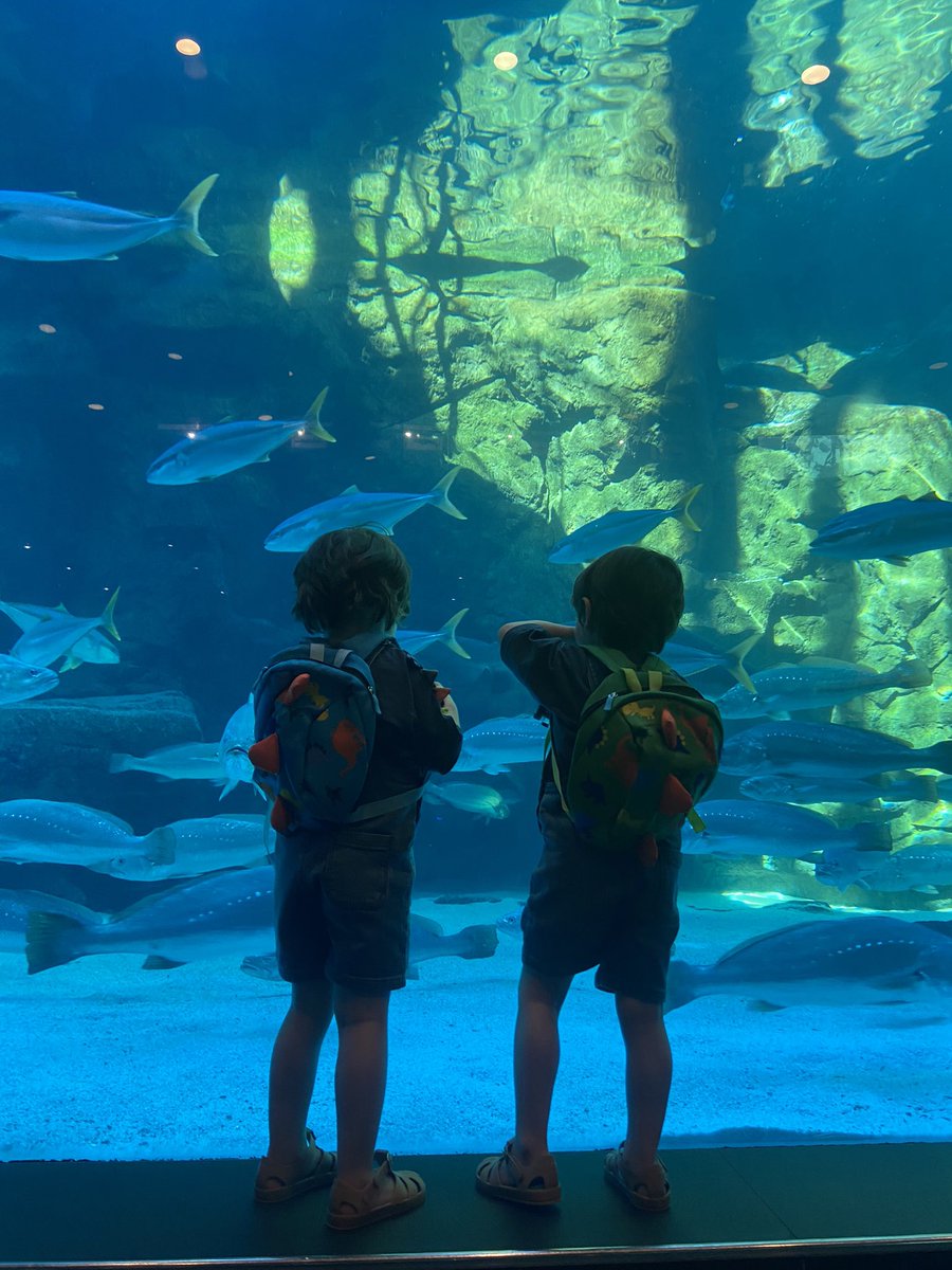 Cape Town Aquarium with the boys!