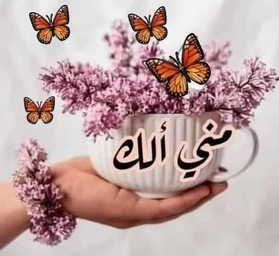 عطر الياسمين. 🌸 tweet media