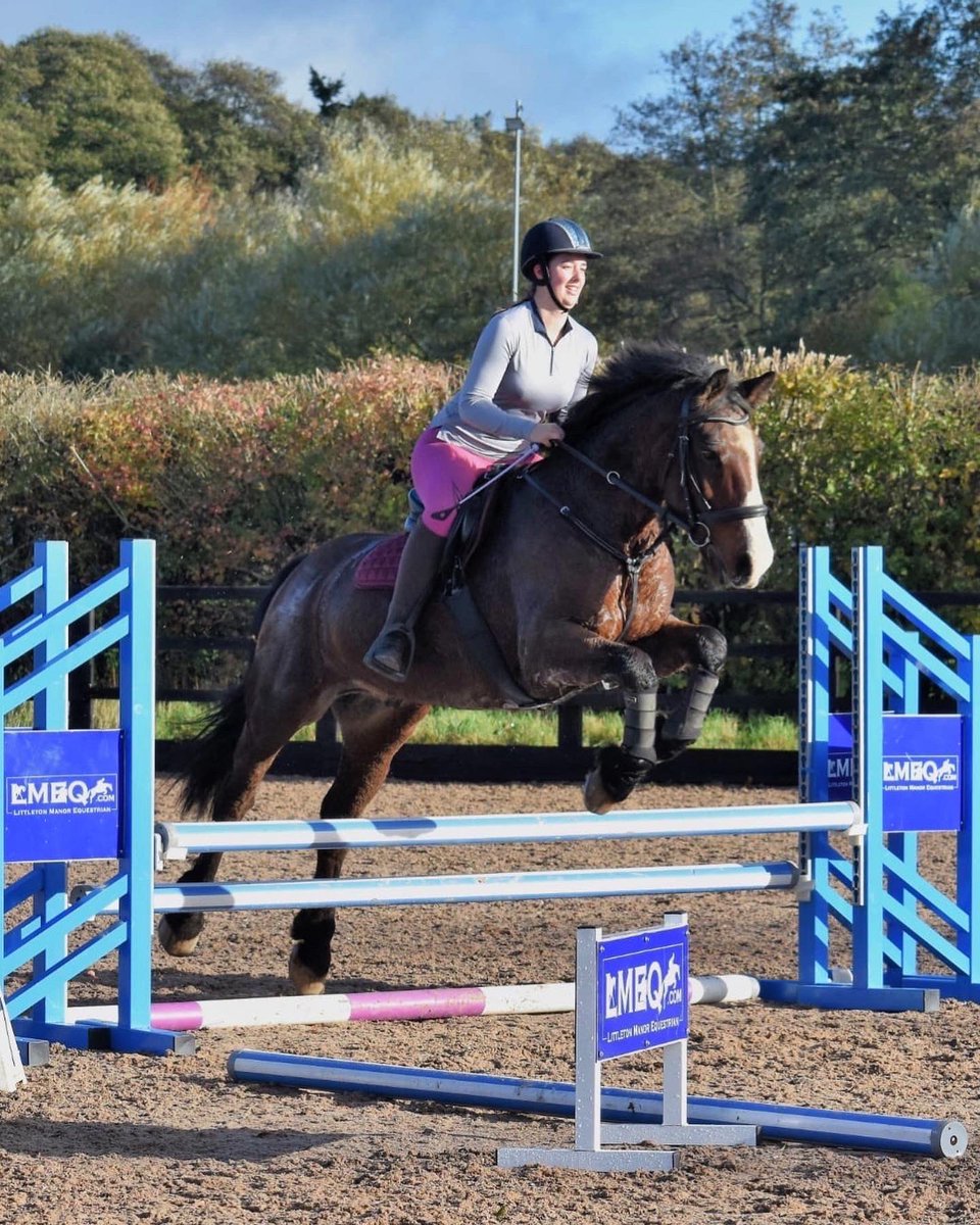 The face you make when you find out Vivendi has riding leggings from just £20!!!!! 

Shop now via vivendiapparel.com  #equestrianfashion #ridingleggings #equineblogshare