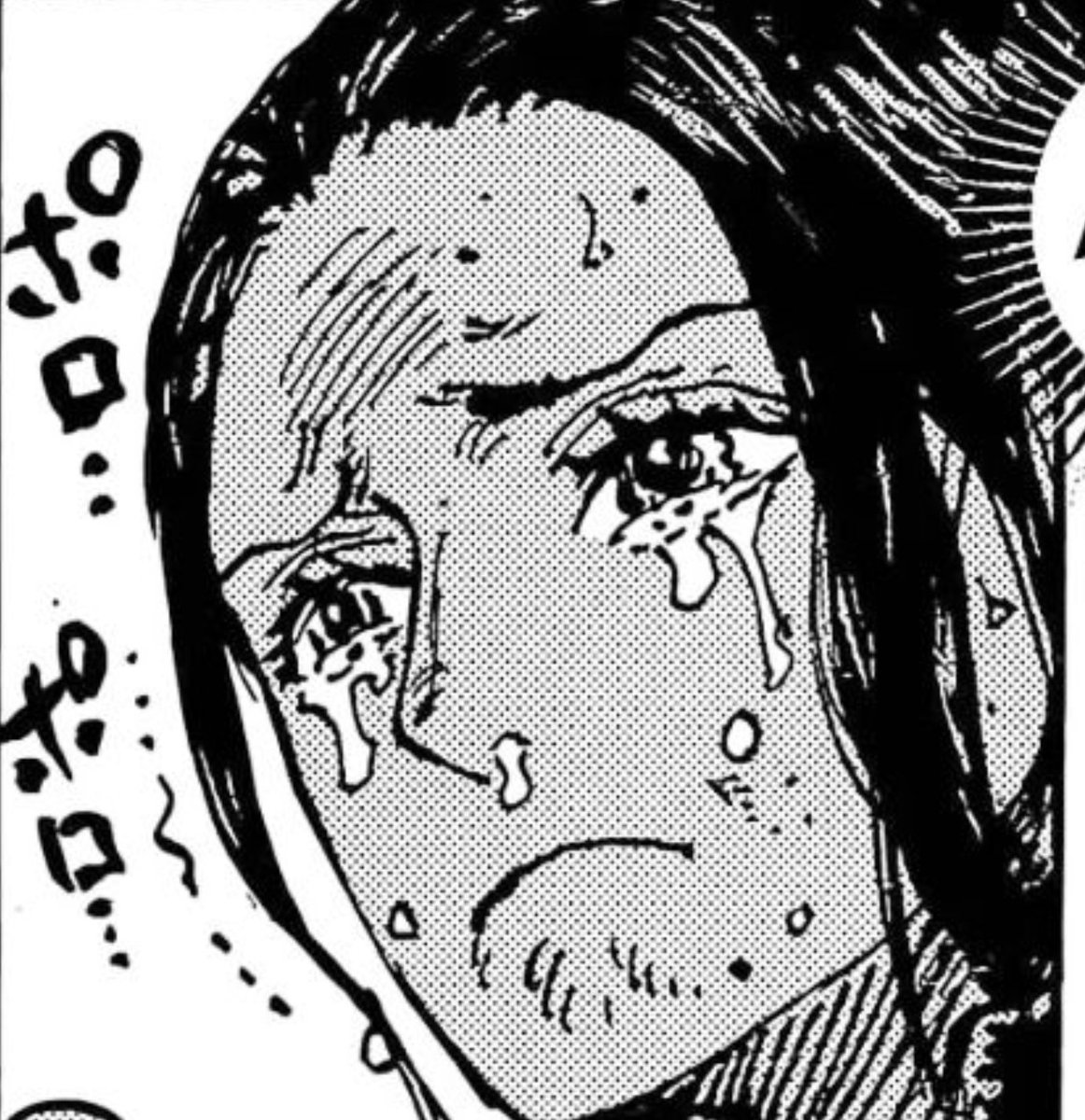 Ch 1066 of one piece had me like this