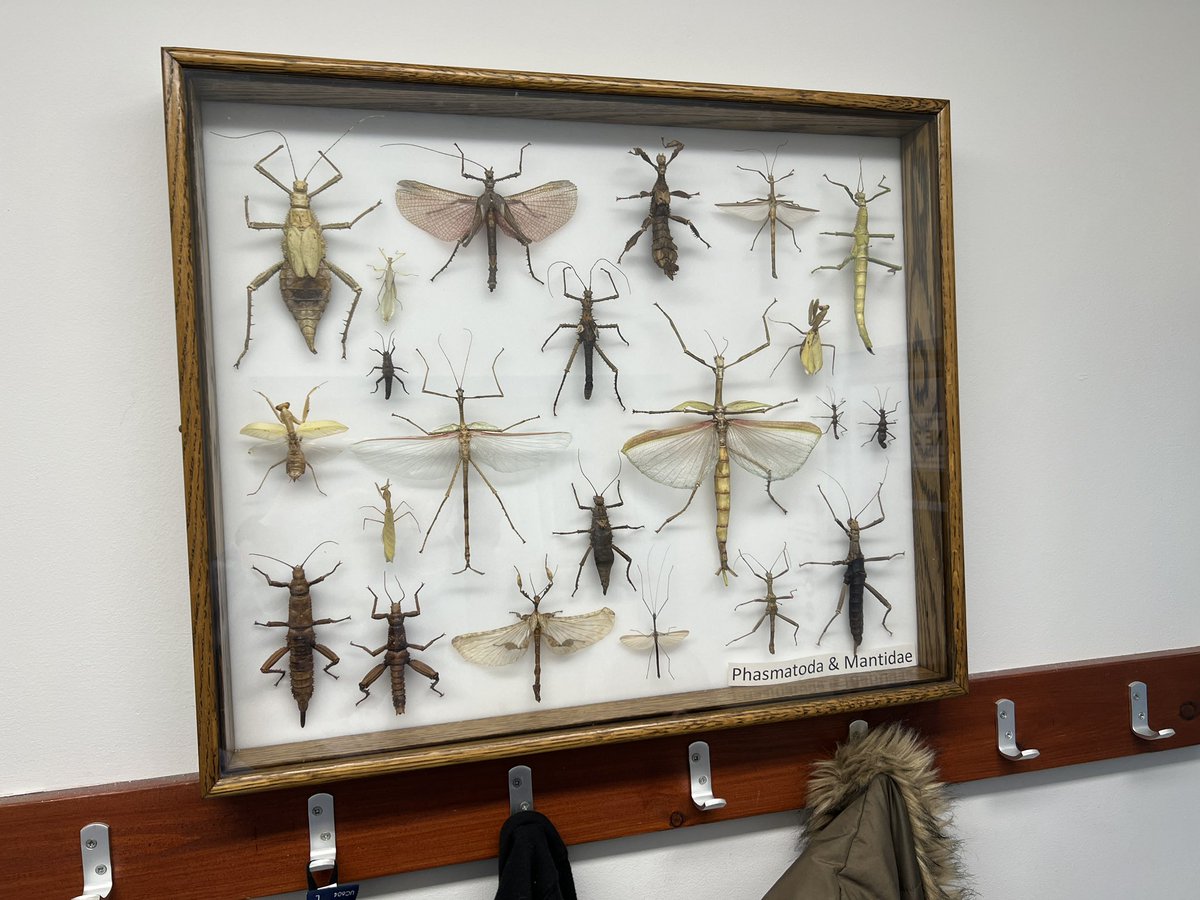 Shih-Hsun Walter Hung (@waltershhung) on Twitter photo Visit <a href="/JohnInnesCentre/">John Innes Centre</a> and learn fantastic plant-microbe-insect interactions from <a href="/SaskiaHogenhout/">Saskia Hogenhout</a>. So pleasure to be hosted such kindly! We also had a great dinner last night. It's definetly where you would like to stay and research~ w/<a href="/samtmugford/">Sam Mugford @samtmugford.bsky.social</a> <a href="/GSeddonRoberts/">George Seddon-Roberts</a> <a href="/QunLiu07/">Qun Liu</a> Visit <a href="/JohnInnesCentre/">John Innes Centre</a> and learn fantastic plant-microbe-insect interactions from <a href="/SaskiaHogenhout/">Saskia Hogenhout</a>. So pleasure to be hosted such kindly! We also had a great dinner last night. It's definetly where you would like to stay and research~ w/<a href="/samtmugford/">Sam Mugford @samtmugford.bsky.social</a> <a href="/GSeddonRoberts/">George Seddon-Roberts</a> <a href="/QunLiu07/">Qun Liu</a>