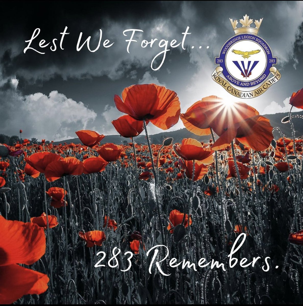 #Remembrance #RemembranceDay #LestWeForget #WeWillRememberThem