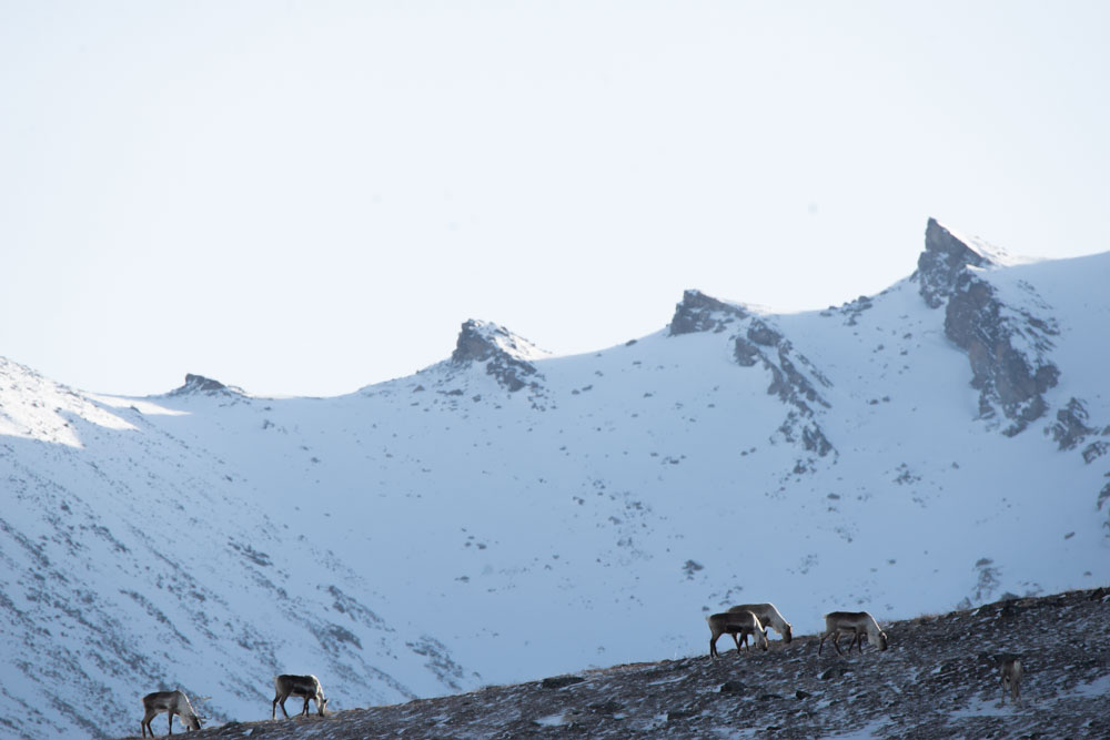 Megan Perra tweet media