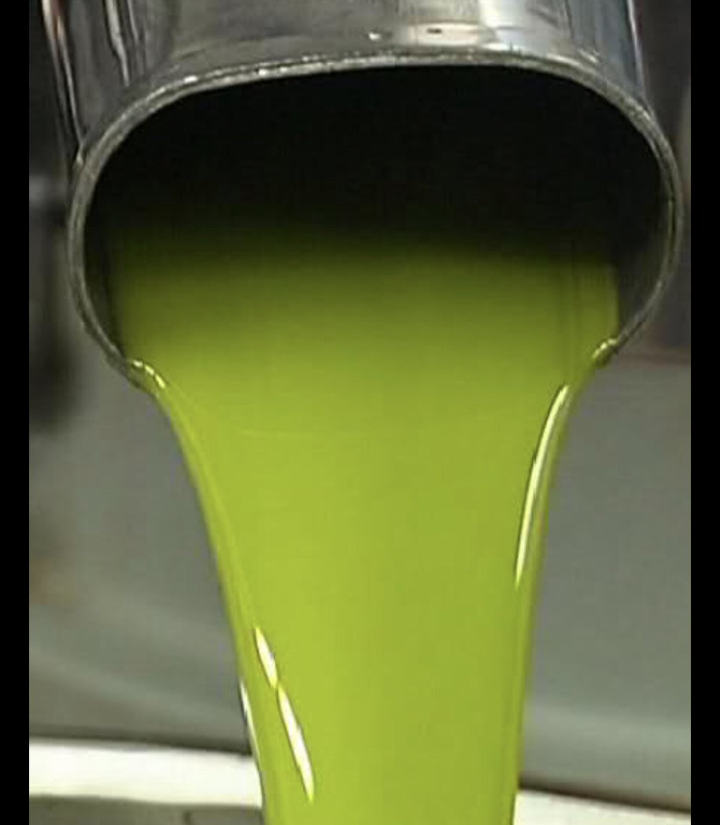 زيت الزيتون البلدي من بلاد الشام الاردن جرش عجلون