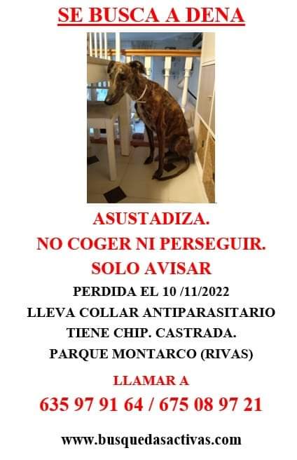 SilviaMylo's tweet photo. DENA SE HA PERDIDO EN RIVAS (MADRID)
SI PUEDES COLABORAR PEGANDO CARTELES ÚNETE A SU GRUPO DE BUSQUEDA https://t.co/kEiTmrRJtQ
Ayuda muy urgente por favor difundir ‼️
😢🆘📢📢📢📢📢📢📢 https://t.co/PziXpU87Kv