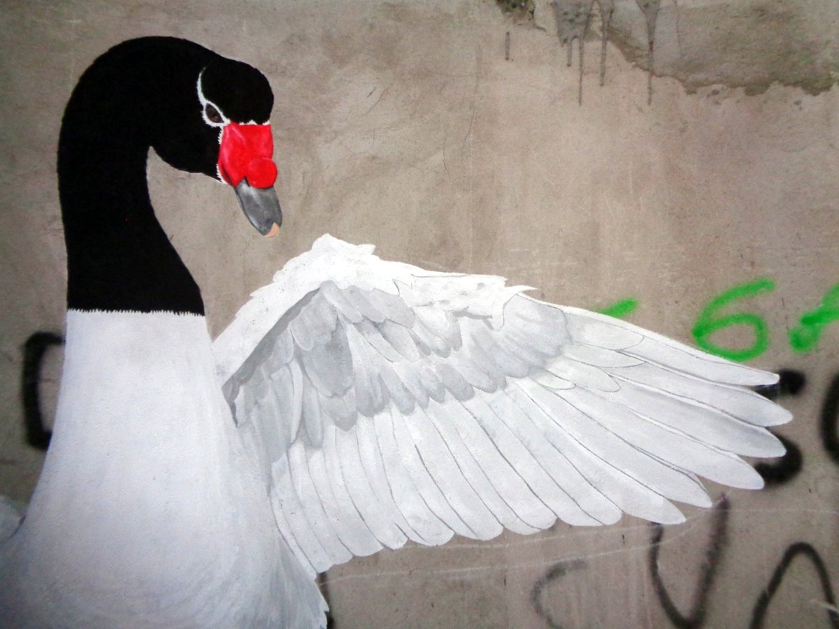 JohnnyAzaguate's tweet photo. Alegoría
Johnny Azaguate
#streetart #artecallejero #urbanart #arteurbano #graffitti #mural #wallart #muralart #contemporaryart #artecontemporaneo #newart  #pollution #argentina #neuquen
@strartcommunity @globalstreetart @streetartnews @_streetart @I_S_S_ART @Alternopolis @street https://t.co/01kcm3coy0