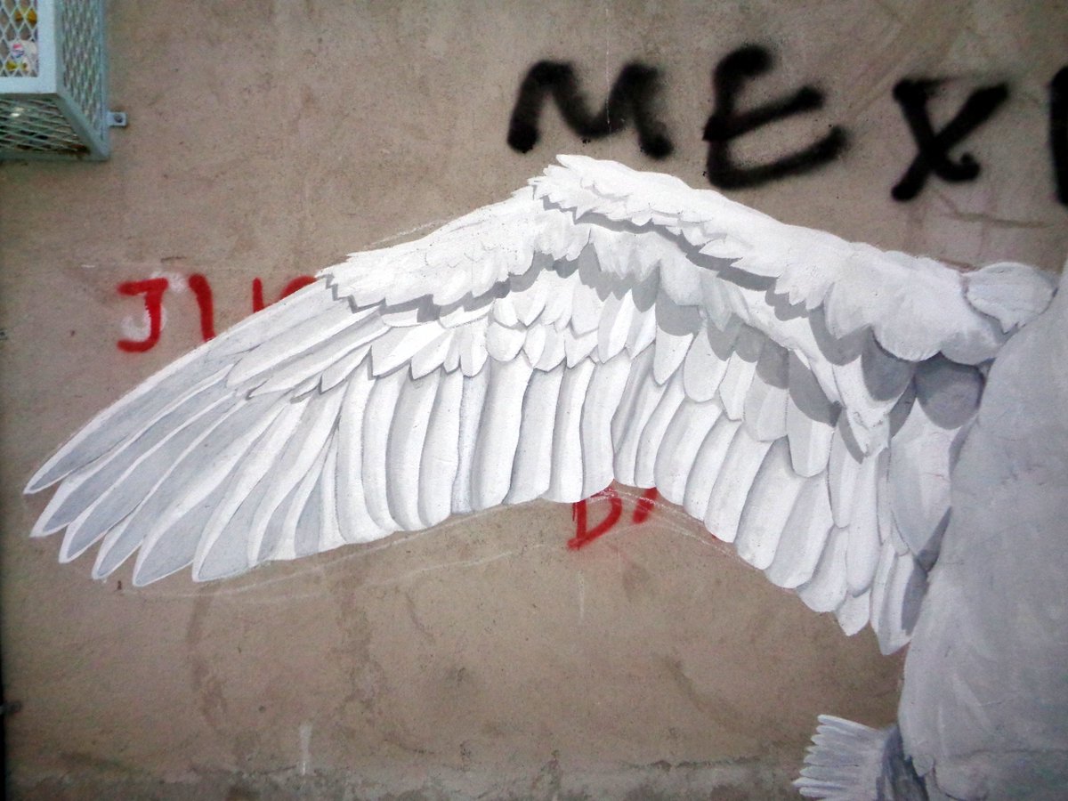 JohnnyAzaguate's tweet photo. Alegoría
Johnny Azaguate
#streetart #artecallejero #urbanart #arteurbano #graffitti #mural #wallart #muralart #contemporaryart #artecontemporaneo #newart  #pollution #argentina #neuquen
@strartcommunity @globalstreetart @streetartnews @_streetart @I_S_S_ART @Alternopolis @street https://t.co/01kcm3coy0