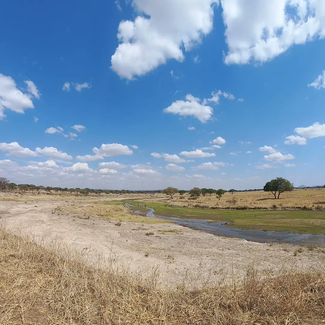 shamaleexptours's tweet photo. We organise photograph Safari in Tanzania we have open vehicle which can Give  apace of taking Photos and  place to put your Equipment we trained Our Guide who will go Extra Milage for give you the chance of taking photos

See more https://t.co/wZsKCB0C0P 

#photos #photography https://t.co/XJ2woRdeEC