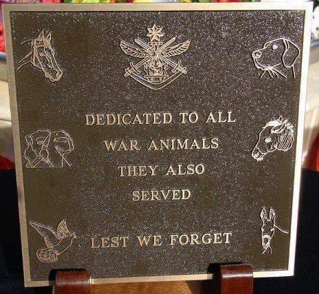 Julesk23's tweet image. #AnimalsOfWar ❤️