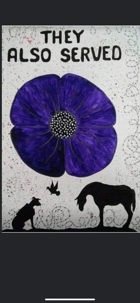 Julesk23's tweet image. #AnimalsOfWar ❤️