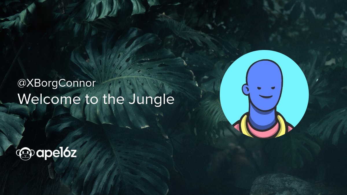 🐵 @XBorgConnor #apelist