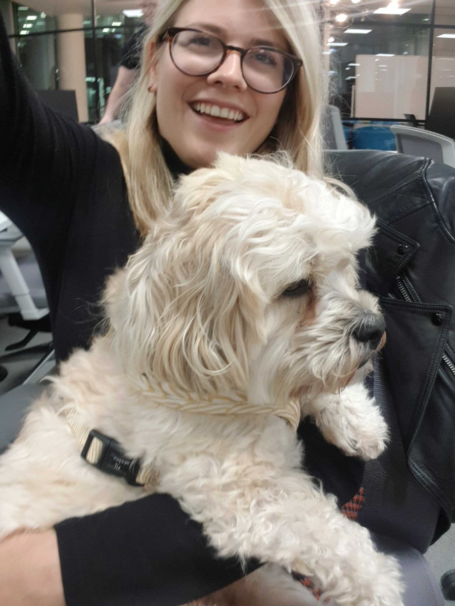 And that marks my first month in cars - done. Top highlights - meeting dealers at #amlive with man-mountain <a href="/jameshaskell/">James Haskell</a> 💪reading the esteemed @salihughes words about us in her brilliant new book 💅 and of course, office doggos. It's been a great start, thanks <a href="/carwowuk/">carwow</a>