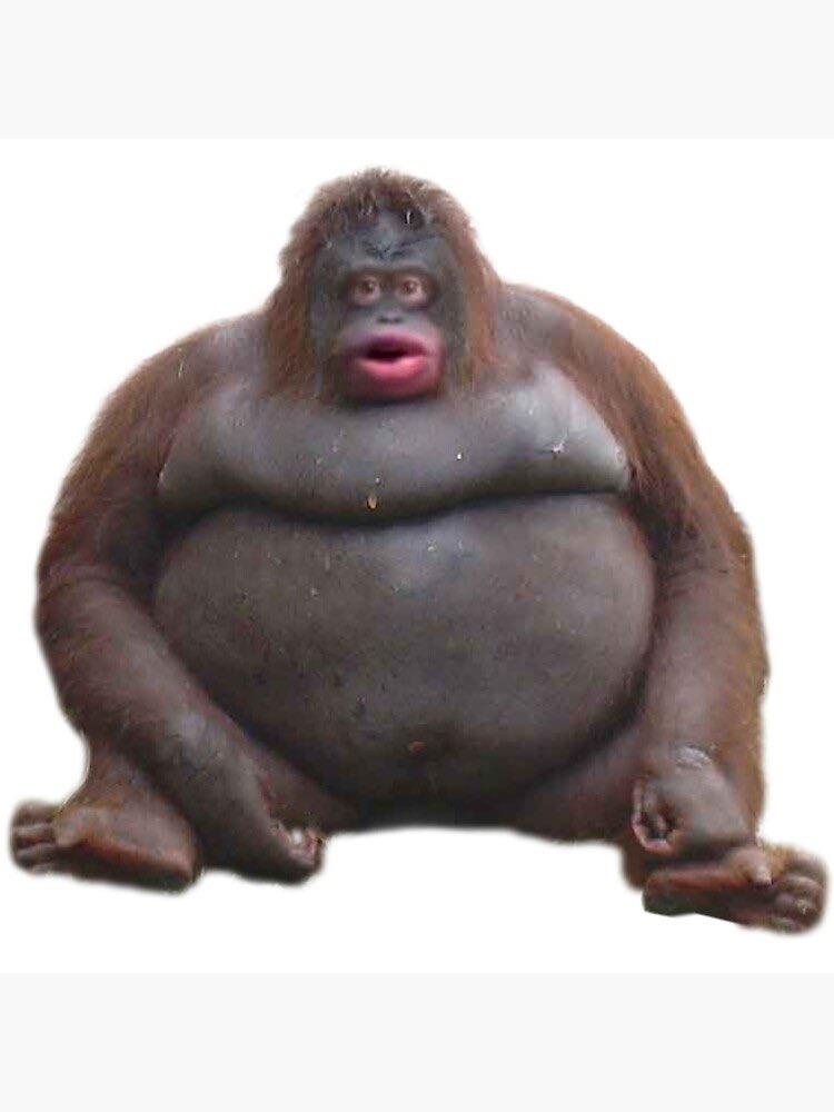 incellectuals's tweet photo. https://t.co/QKIP6LbwBo