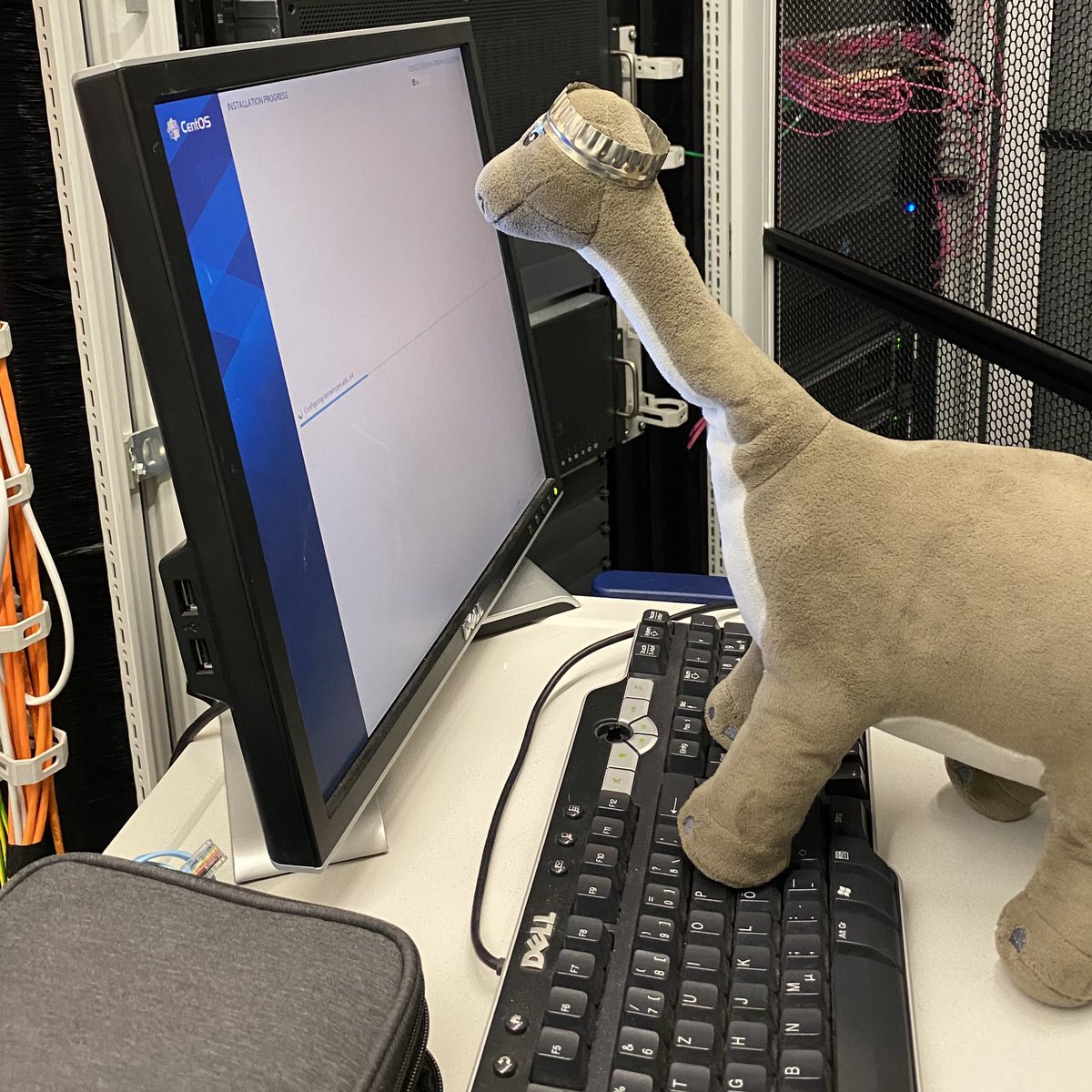 the_real_din0's tweet photo. 🦕⌨️🖥️ https://t.co/8oknaM4h4a
