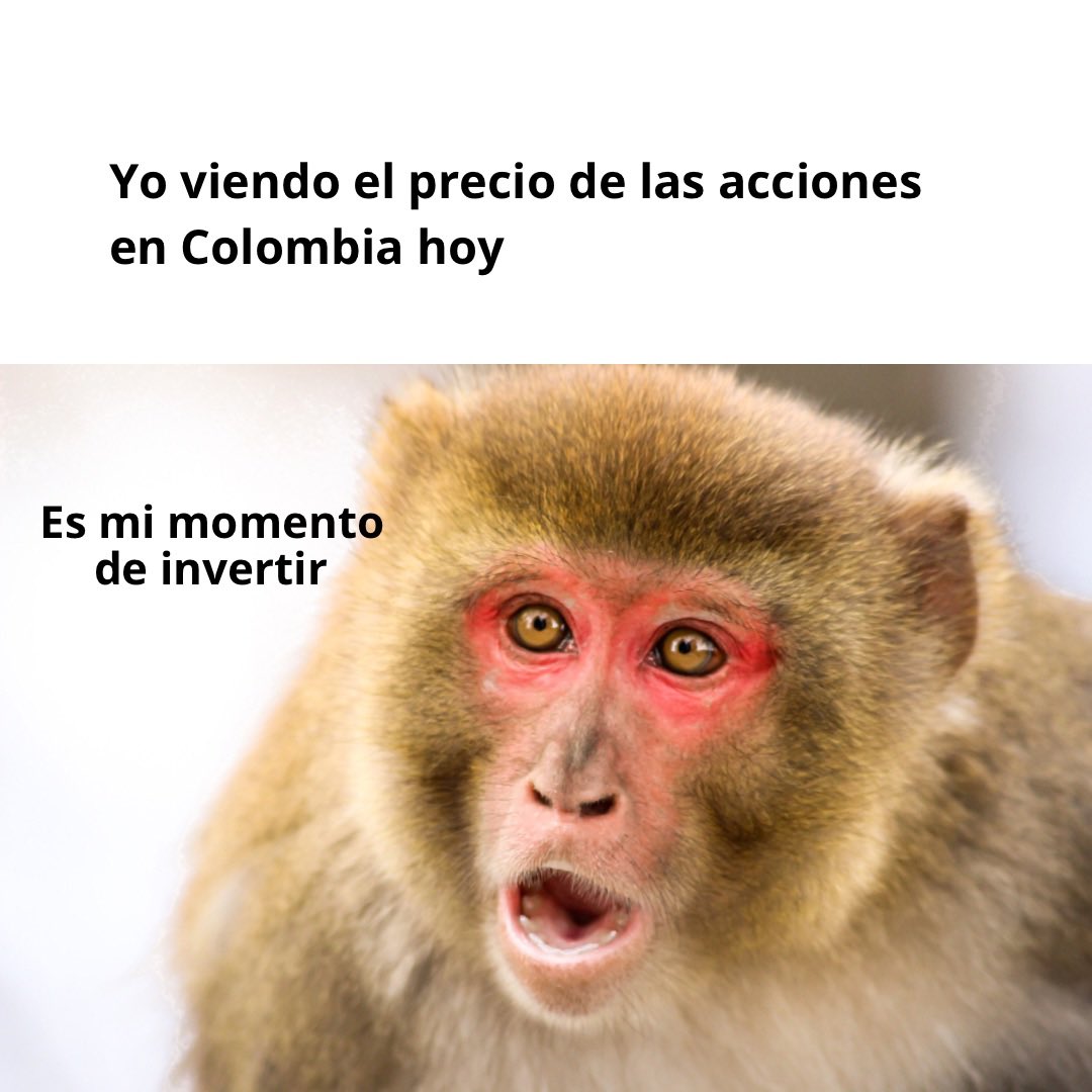 Viernes de #meme 🤑 

Donde algunos ven problemas, otros ven oportunidades 🚀