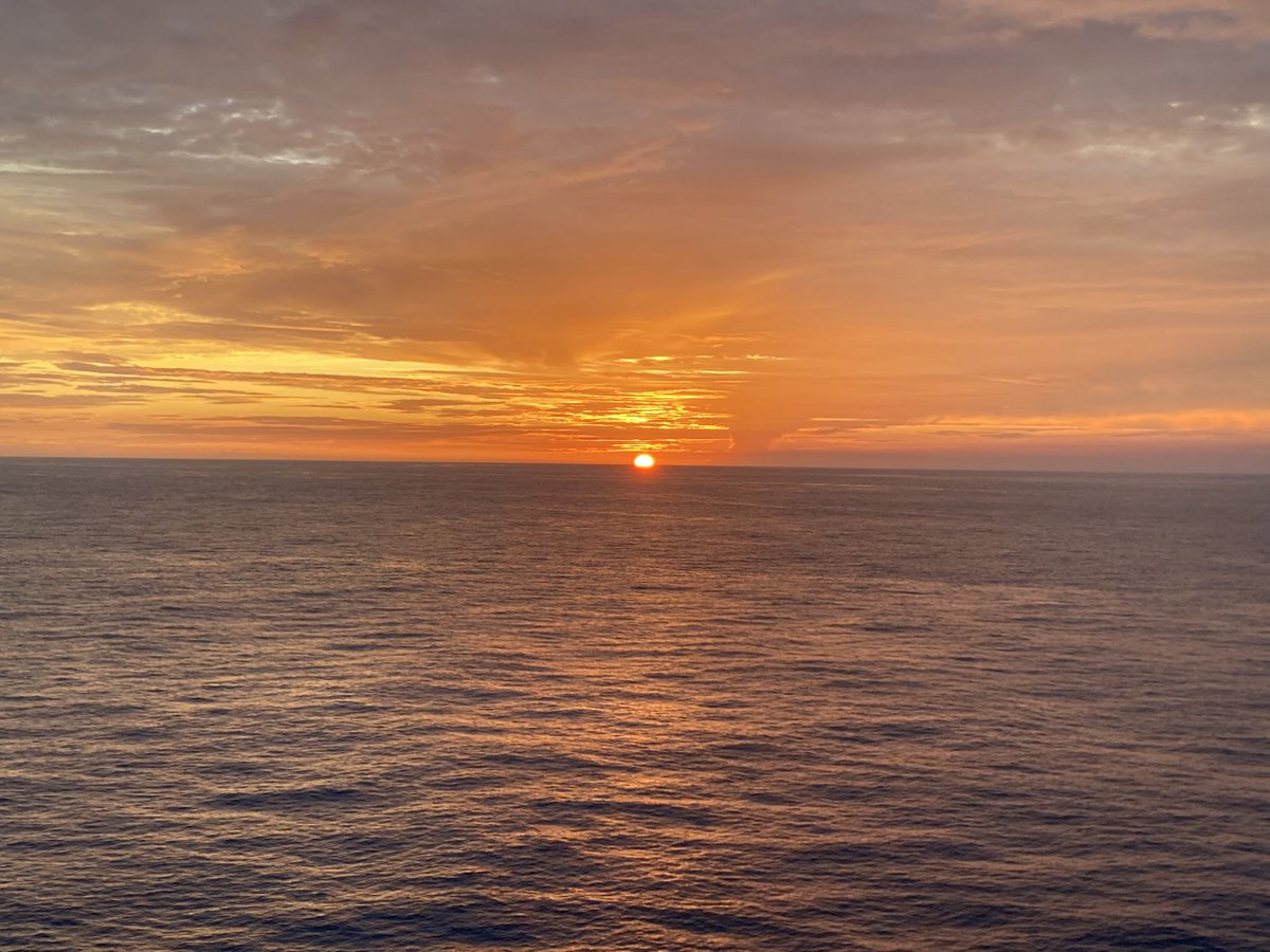 longwolly's tweet image. #bitcoinsunset