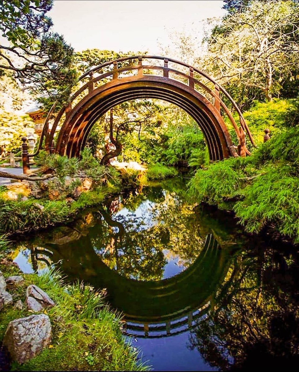 SFBGS's tweet photo. All Veterans and active duty servicemembers receive free admission to the Gardens of Golden Gate Park every day. We hope these beautiful spaces can soothe, heal, and help bring peace.
๐
#veteransday #gardensofgoldengatepark https://t.co/qrEaKZSzZX