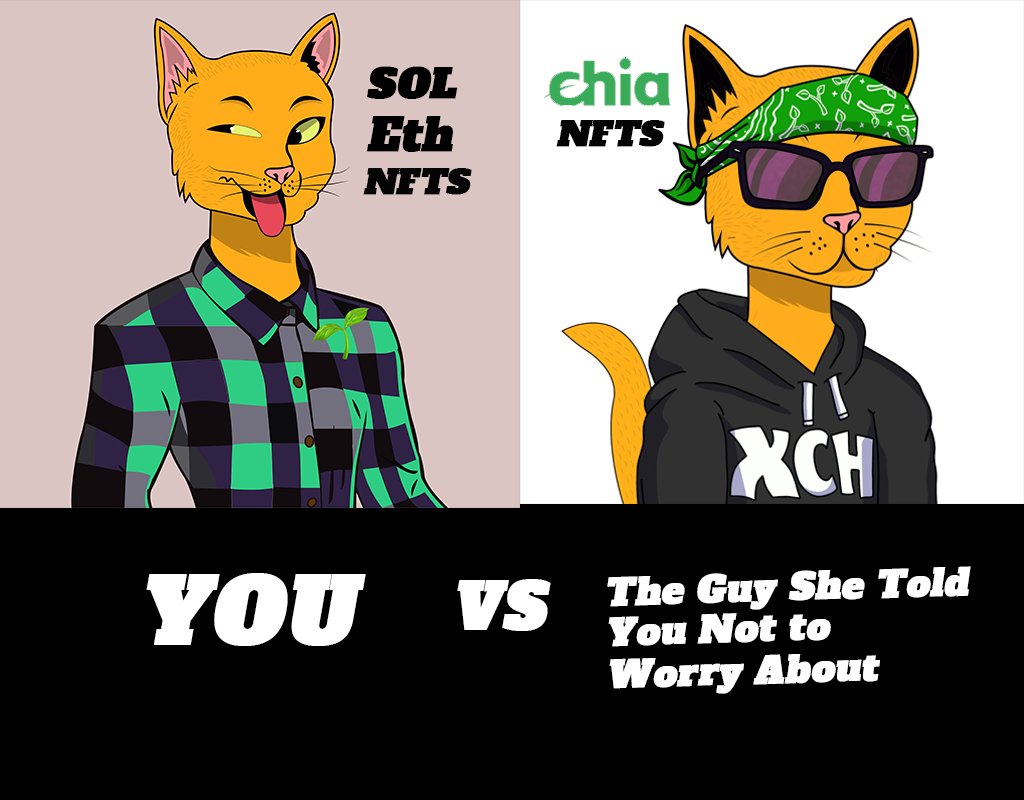 Space Time Cats 🌱 tweet media