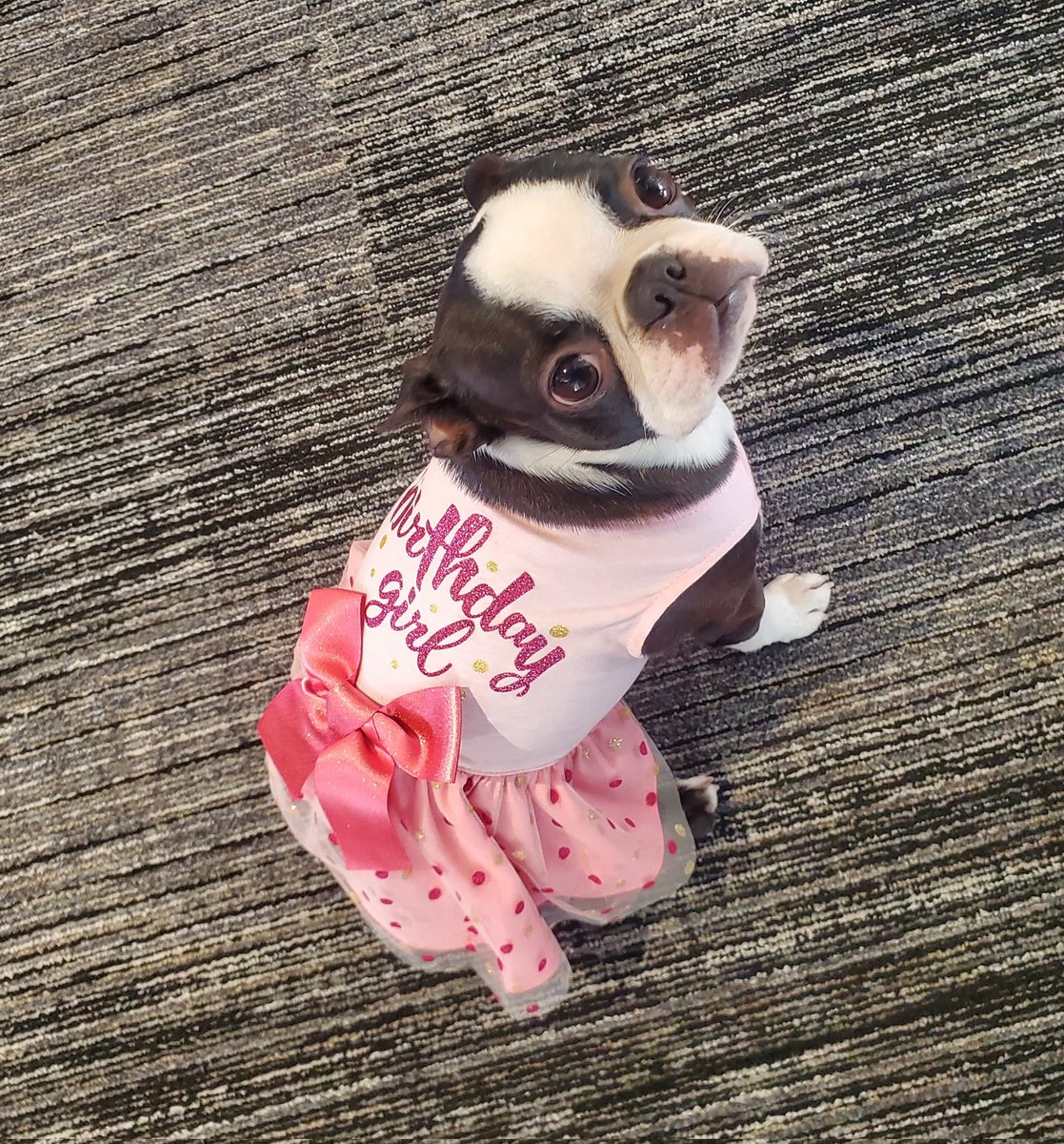 FanFedoras's tweet photo. @suzal__ Aw... my Daisy Doodle Bug https://t.co/DLZi1qWzQ5