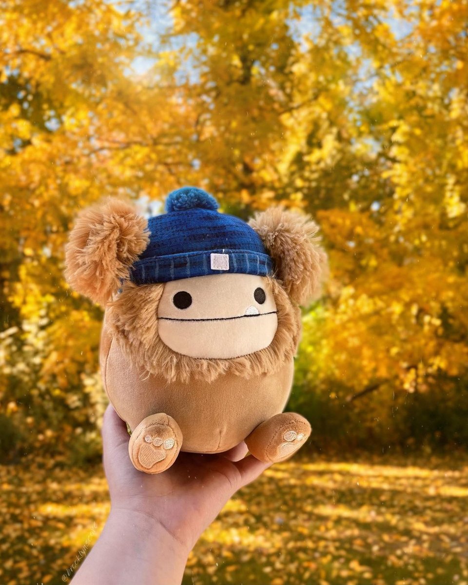 squishmallows's tweet image. Bigfoot does exist. His name is Benny, and he loves to run and play with his pals in the forest and beyond. When he is not running around you can often find him taking photographs with woodland friends. 🤎👣🌲 #Squishmallows

📸 IG: brooklynscove